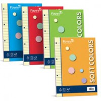 Ricambi per raccoglitori blocco 100 fogli A4 colorati